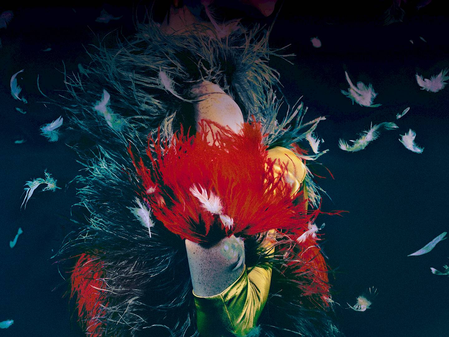 «Die Zauberflöte»
