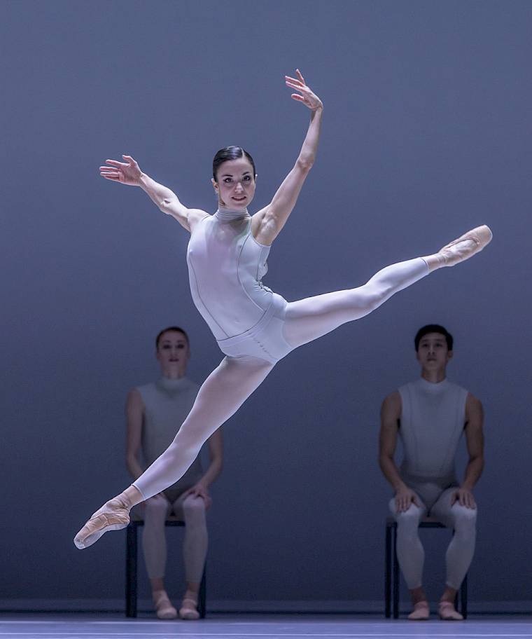 Forsythe, Übersichtsbild. Foto: Gregory Batardon